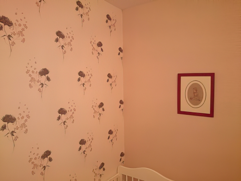 Sirename Peintre Decorateur Fontenay Le Comte Realisation 23 1