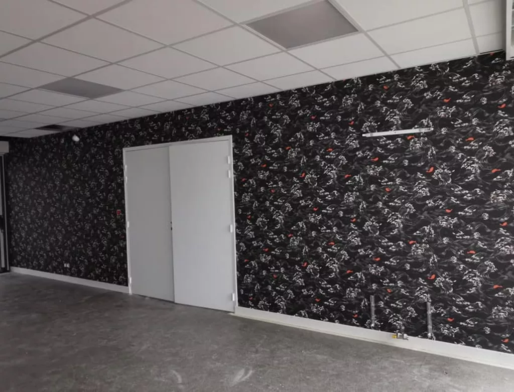 Sirename Peintre Decorateur Fontenay Le Comte 2