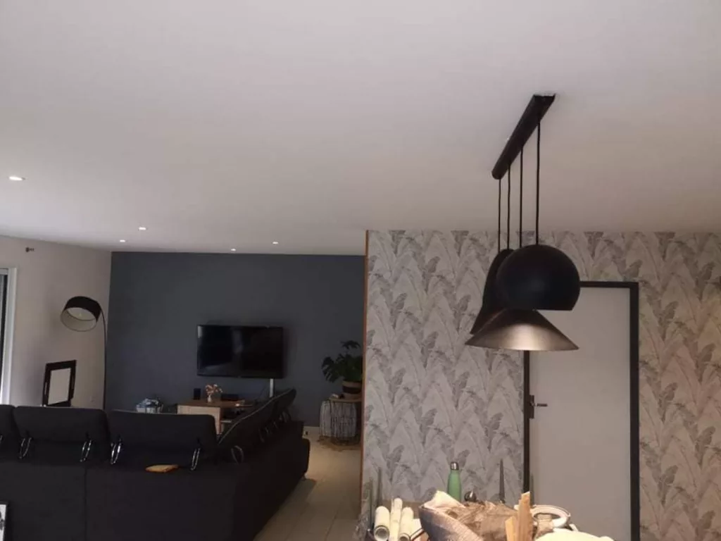 Sirename Peintre Decorateur Fontenay Le Comte 257755986 4620499594676522 675882604251981304 N